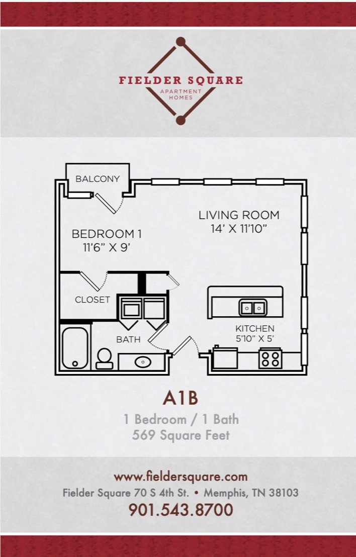 Floor plan for studio, 1 bath, 569 sqft